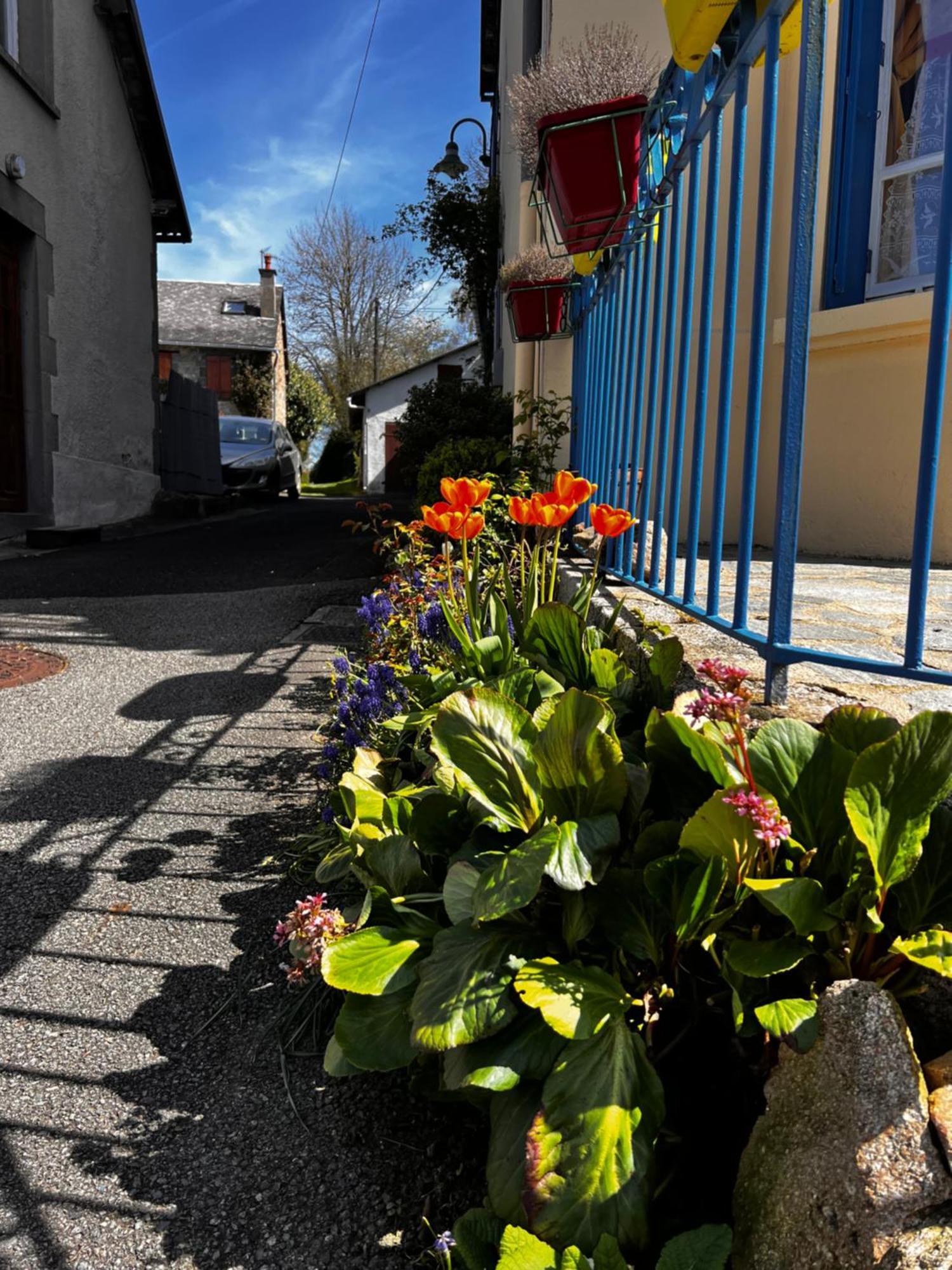 Original And Quirky Village